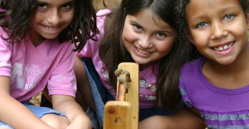 Three girls smile as they look at the handle of a bucket that has three snails they collected on it.
