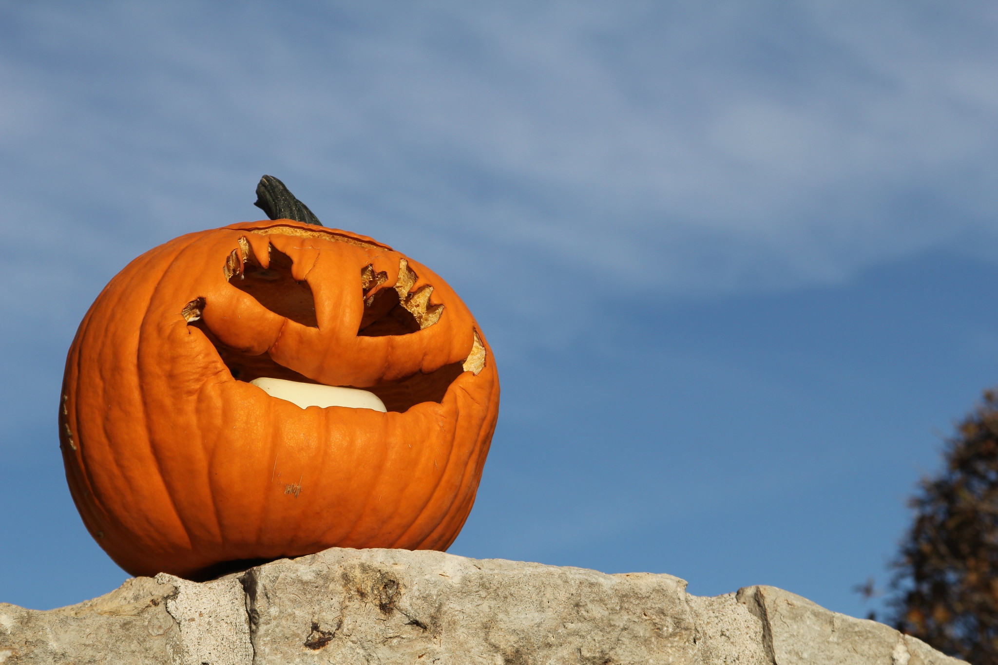 A jack o lantern smiles on top of a rock wall in front of a blue sky