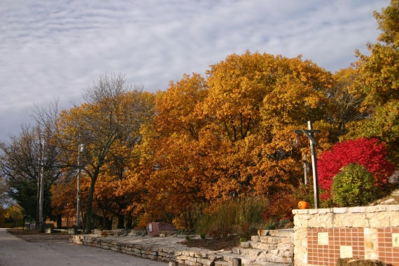 Trees around the Camp Pond Turn colors with the fall