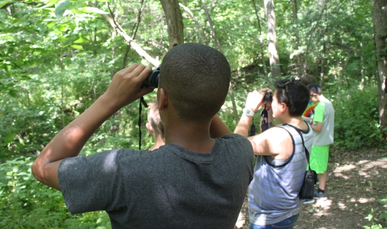 2 People with their backs to the camera look into the forest canopy with binoculars