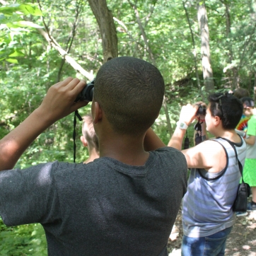 2 People with their backs to the camera look into the forest canopy with binoculars