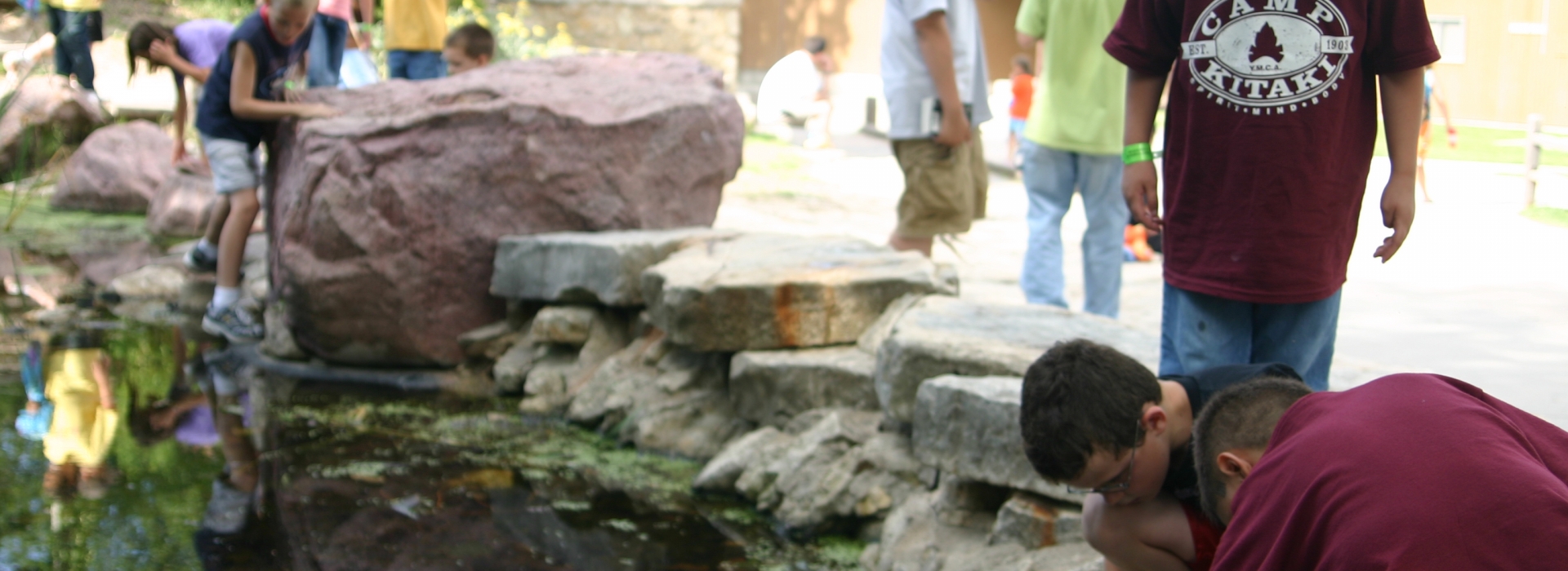 Campers gather around to point out wildlife in the camp pond